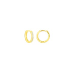 The Coco Huggie Earring