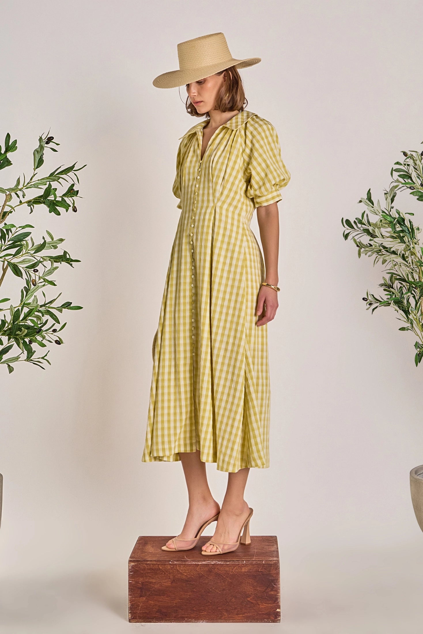 The Gingham Dress